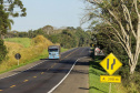 Lote 1 da nova concessão terá 156 km de duplicação na BR-277, entre Curitiba e Prudentópolis. BR-277 com BR-373.
