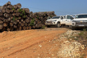 O IAT emitiu 154 Autos de Infração Ambiental (AIA) em sete municípios do Vale do Ribeira