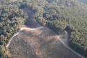  O IAT emitiu 154 Autos de Infração Ambiental (AIA) em sete municípios do Vale do Ribeira