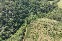  O IAT emitiu 154 Autos de Infração Ambiental (AIA) em sete municípios do Vale do Ribeira