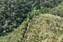  O IAT emitiu 154 Autos de Infração Ambiental (AIA) em sete municípios do Vale do Ribeira