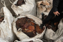 PCPR apreende 10 toneladas de fio de cobre em Pinhais 