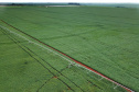 AGRO