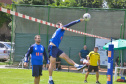 Punhobol 