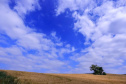 Caminhadas na Natureza IDR