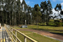 SANEPAR SELO OURO