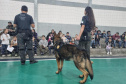 PCPR NA COMUNIDADE CASTRO