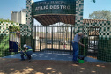 Parceria Transformadora: egressos do sistema prisional revitalizam escolas em Cascavel
