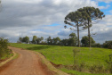 ESTRADA RURAL