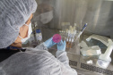 Tecpar e Fiep realizam evento sobre biotecnologia na saúde