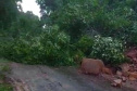 RODOVIAS