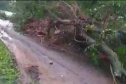RODOVIAS