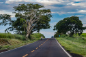 RODOVIAS