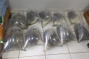 IAT SOLTTURA PEIXES