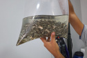 IAT SOLTTURA PEIXES