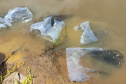 IAT SOLTTURA PEIXES