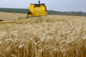 BOLETIM AGRO