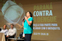 DENGUE