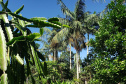 IDR PRODUÇÃO AGRÍCOLA