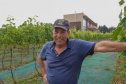 Outras bebidas paranaenses premiadas internacionalmente são os vinhos da Vinícola Franco Italiano, de Colombo. 