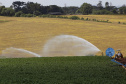 Banco do Agricultor Paranaense já financiou R$ 646 milhões em 4.180 projetos
