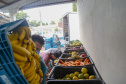 Segurança alimentar e investimentos na agricultura familiar receberam R$ 270 milhões em 2023