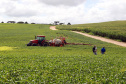AGRICULTURA 