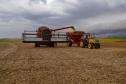 BOLETIM AGRO