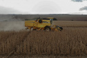 BOLETIM AGRO