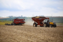 BOLETIM AGRO