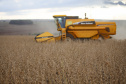 BOLETIM AGRO