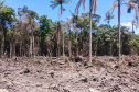 IAT DESMATAMENTO LITORAL