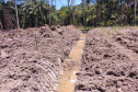 IAT DESMATAMENTO LITORAL