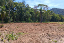 IAT DESMATAMENTO LITORAL