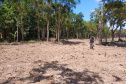 IAT DESMATAMENTO LITORAL