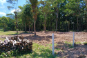IAT DESMATAMENTO LITORAL