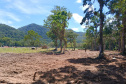 IAT DESMATAMENTO LITORAL