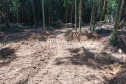IAT DESMATAMENTO LITORAL