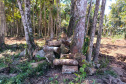 IAT DESMATAMENTO LITORAL
