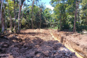 IAT DESMATAMENTO LITORAL