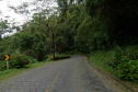 DER ESTRADA GRACIOSA