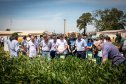 Copacol inicia 33º Dia de Campo; Norberto Ortigara marca presença no CPA 