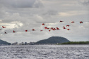 IAT GUARÁS GUARATUBA