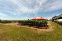 Dias de Campo divulgam inovação e boas práticas agrícolas no Oeste do Paraná