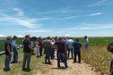 Dias de Campo divulgam inovação e boas práticas agrícolas no Oeste do Paraná