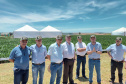 Dias de Campo divulgam inovação e boas práticas agrícolas no Oeste do Paraná
