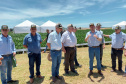 Dias de Campo divulgam inovação e boas práticas agrícolas no Oeste do Paraná