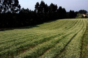 AGRO