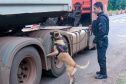 Cães policiais garantem precisão em operações da Polícia Penal do Paraná