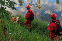 BOMBEIROS CÃES EM DESASTRES